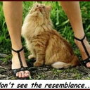 sterling15085-blog-blog-blog avatar