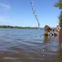 sternfourlife avatar