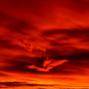 sternschnuppensucher avatar