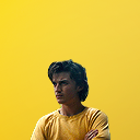 steve-harringtons avatar