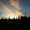 steve-is-a-babe avatar