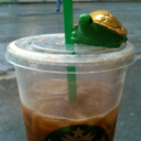 stevecanonico avatar