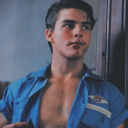 steveisthebest avatar