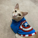 stevepawgers avatar