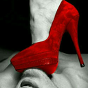 stevepekarski avatar