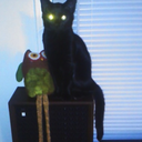 steviestolemysoul avatar