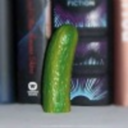 stfushakesville-blog avatar