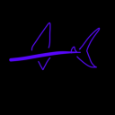 stick-shark avatar