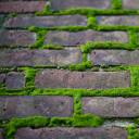 stickittothedark-archived avatar