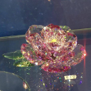 sticksonsticks avatar