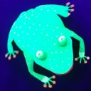 sticky-sandwich avatar