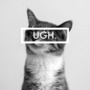 stickykittenmiracle avatar