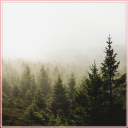 stilesdelaney avatar