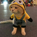 stilesinsopasi avatar