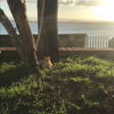 stilestheanchor avatar