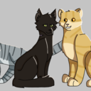 still-not-over-my-warriors-phase avatar