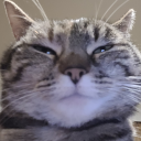 stillaliveuknow avatar