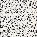 stillcollection avatar