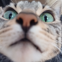 stillhereandstillqueer avatar