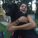 stillpainting-flowers avatar