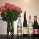 stillsearchingforagreatperhaps avatar