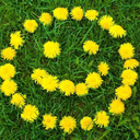 stillwater-77 avatar