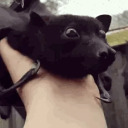 stimboardqueen avatar