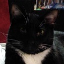 stimetime1382 avatar