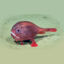 stims-and-sparkles avatar