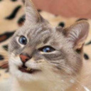 stimstabbaskotch avatar