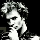sting-o avatar