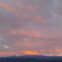 stingrays-posts avatar