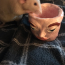 stinkisdinkis avatar