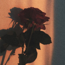 stinky-rats-ass avatar