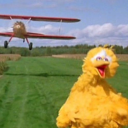 stinkystarboy avatar