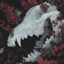 stirthewaters avatar