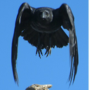 stitch-n-time avatar