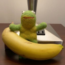 stitch-the-bitch avatar