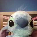 stitch77me avatar