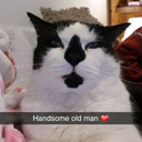 stitchathonic avatar