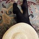 stitchesandspite avatar