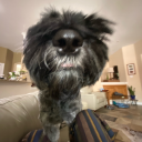 stitchesthemouse avatar