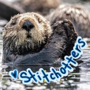 stitchotters avatar