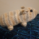 stitchstash avatar