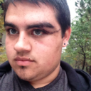 stitchswildwonderland avatar