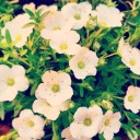 stitchy-positivity avatar