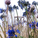 stjernehimmelenovermeg avatar