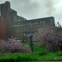 stlbluesfan83-blog avatar