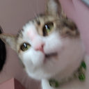 stolen-llullabies avatar