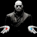 stolenparadisse avatar